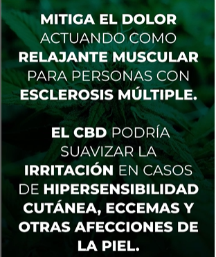 CBD Oil - Una Vida Sin Dolores