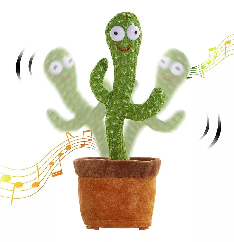 Cactus Bailarin™