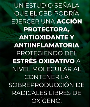 CBD Oil - Una Vida Sin Dolores