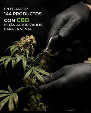 CBD Oil - Una Vida Sin Dolores